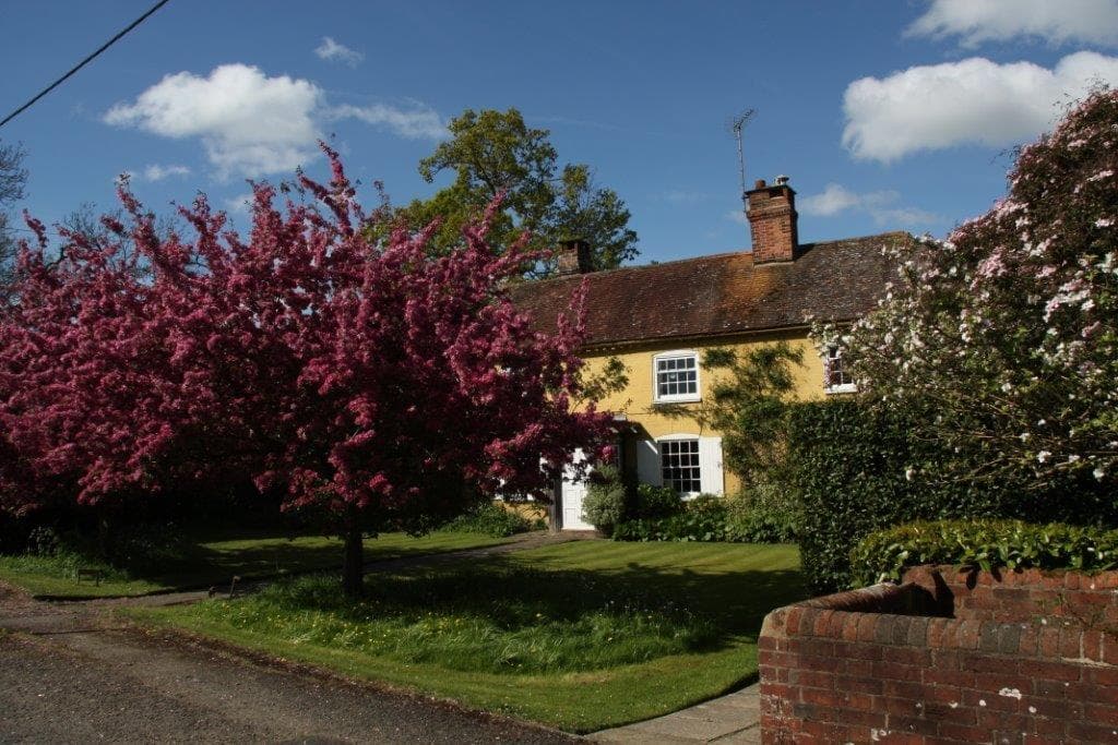 A traditional Cox Green home framed by spring blossom
