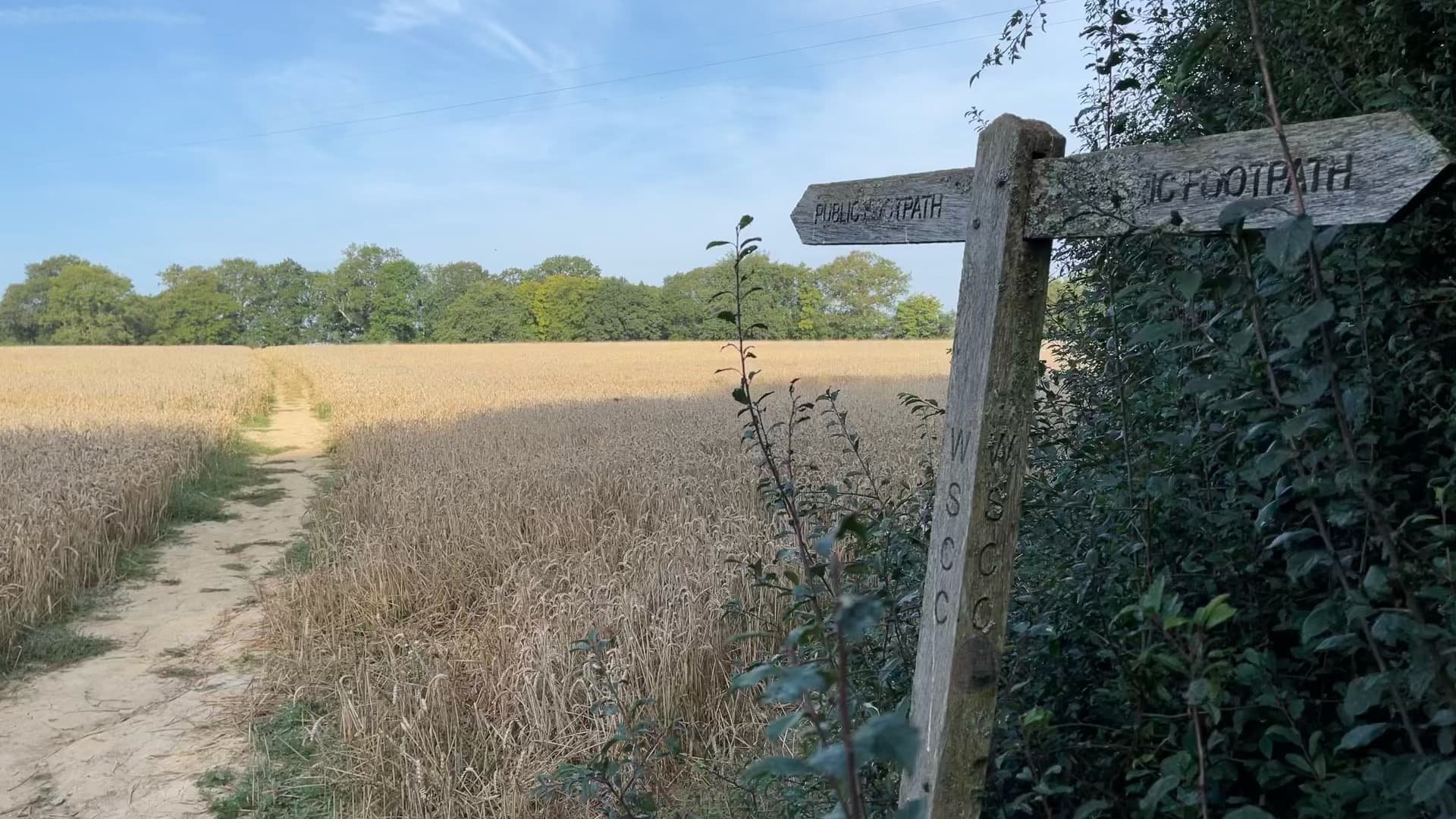 A public footpath crossing a field near Cox Green