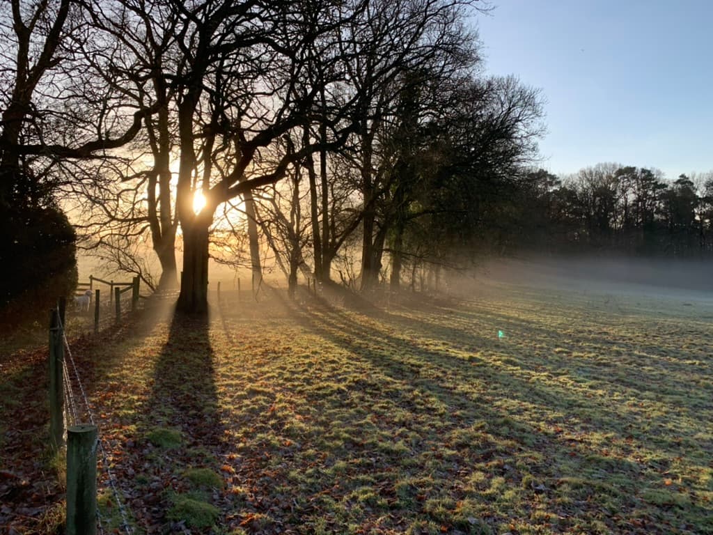 Low winter sunlight across a field