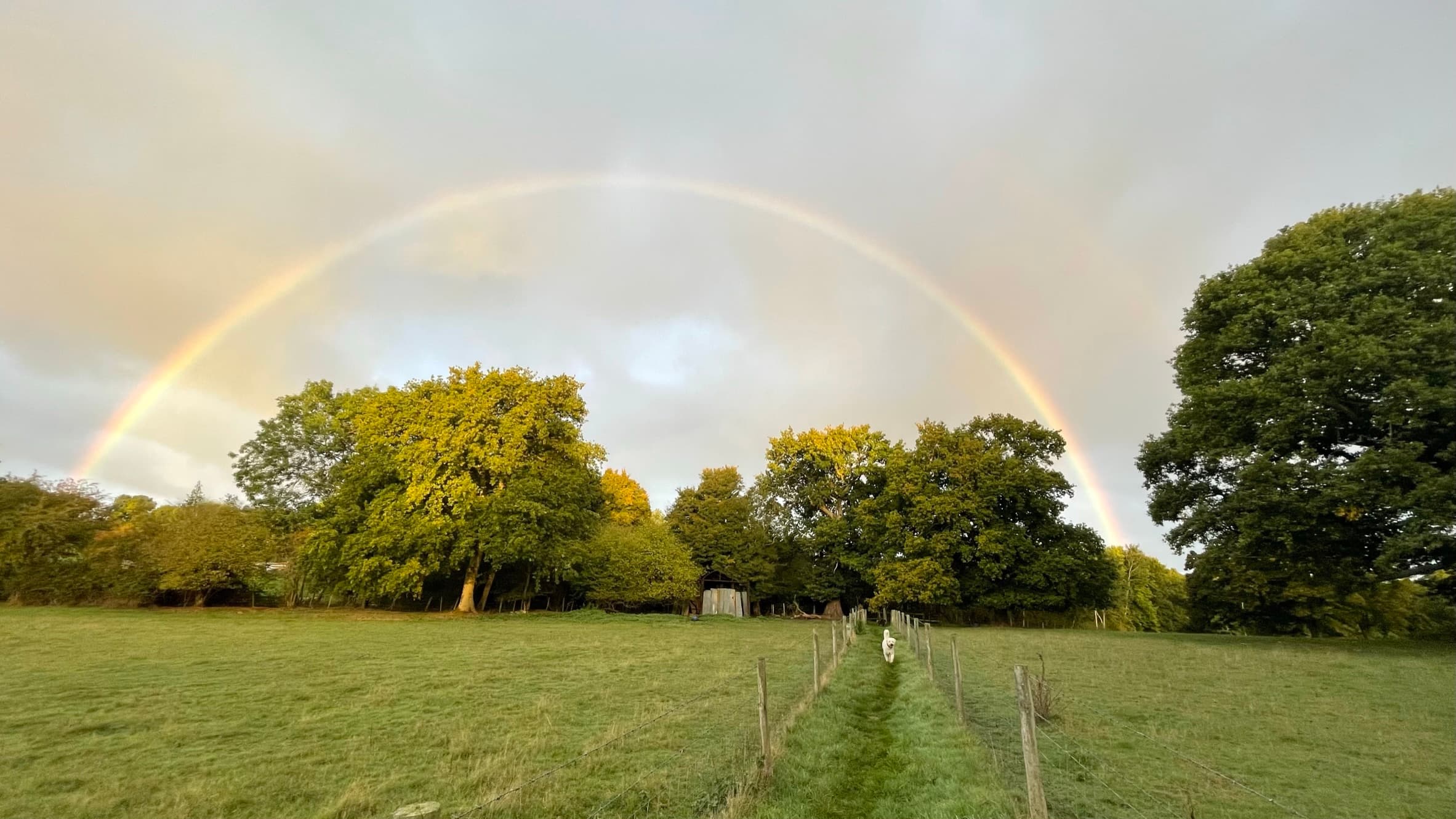 A rainbow over fields and trees