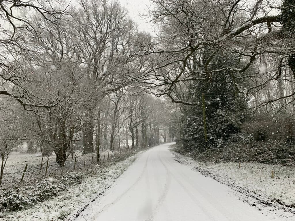 A tree-lined Cox Green lane in snow