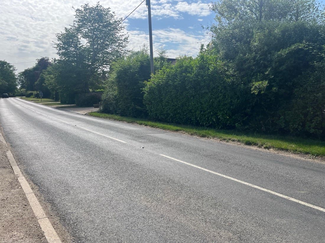 The lane through Cox Green on a summer afternoon, hedgerow on one side and verges on both